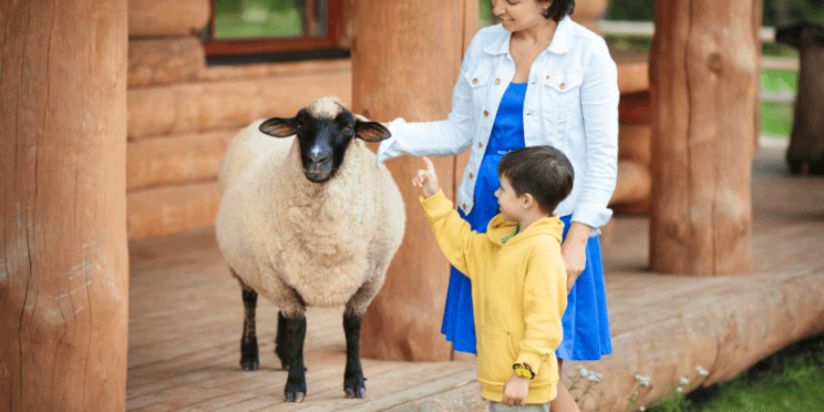 Picture of parent and child enjoying a petting zoo in Michigan.