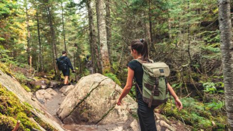 A group hiking, one of the many things to do in West Michigan to stay active on vacation.