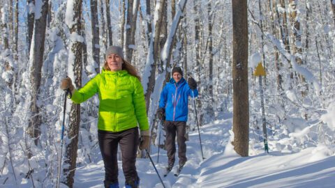 Two people cross-country skiing while visiting Michigan in the winter.