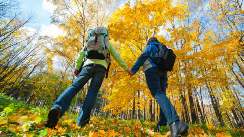 A couple walking on a trail surrounded by Michigan fall foliage.