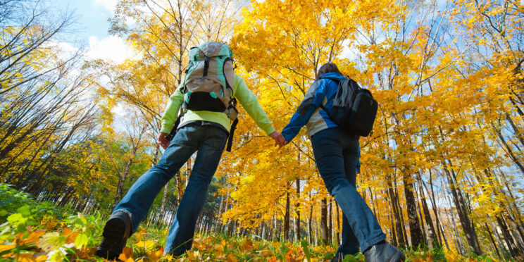A couple walking on a trail surrounded by Michigan fall foliage.